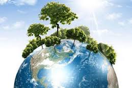 životné prostredie, ekológia a strečové fólie